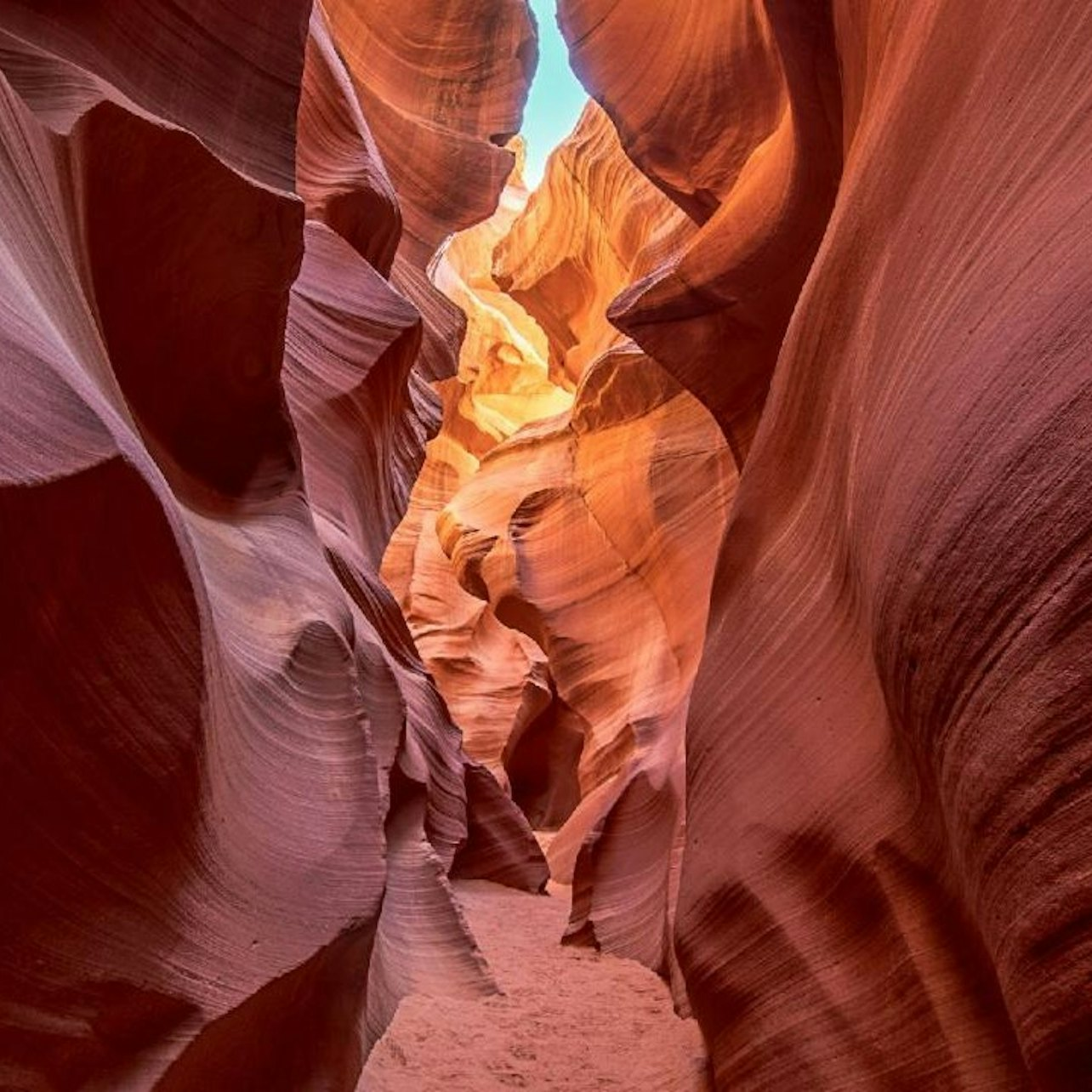 From Las Vegas: Lower Antelope Canyon & Horseshoe Bend Tour with Lunch - Photo 1 of 12